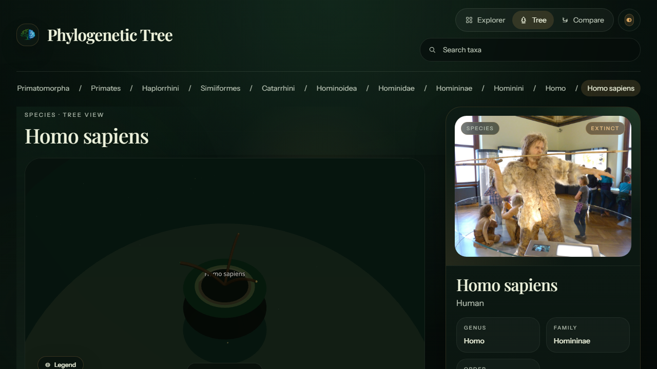 Phylogenetic Tree species view with a tree visualization and Homo sapiens profile